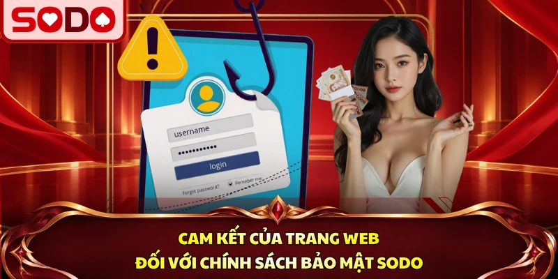 Cam kết của trang web đối với chính sách bảo mật SODO